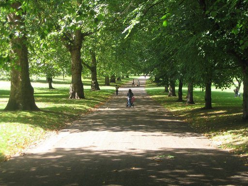 Hyde Park Parking